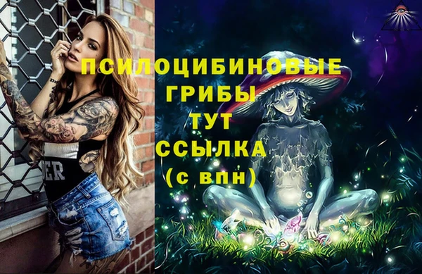 дживик Надым