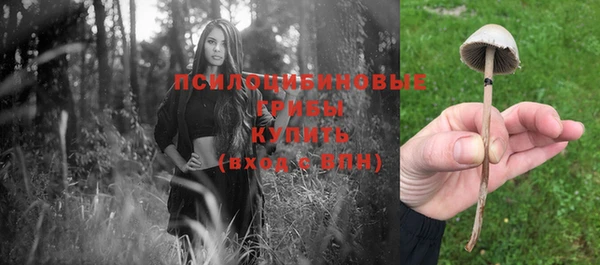 мдпв Нея