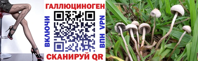 даркнет сайт  Иваново  Галлюциногенные грибы мухоморы 