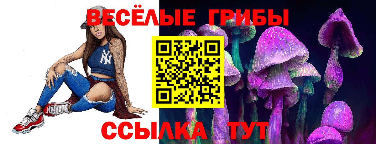 Псилоцибиновые грибы Magic Shrooms  Иваново 