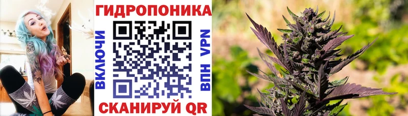 Бошки Шишки конопля  хочу наркоту  Иваново 